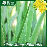 THẠCH NHA ĐAM HƯƠNG VẢI (500Gr)