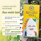 Gạo Mầm Tươi Gaba ST25 Cờ Đỏ 1kg