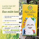 Gạo Mầm Tươi Cờ Đỏ - Gạo Mầm Trắng / Tím hộp 1kg