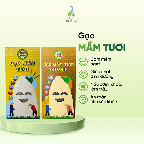 Gạo Mầm Tươi Gaba ST25 Cờ Đỏ 1kg
