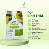 Gạo Ngỗng Sinh Thái ST25 lúa tôm rươi 3kg