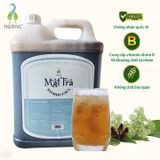 Mật Trà Kombucha Thảo Mộc