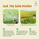 Gạo sinh thái ST25 xát dối túi 700gr