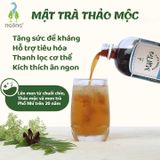 Mật Trà Kombucha Thảo Mộc