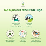 Vệ sinh bồn cầu Fuwa3e hữu cơ hương khuynh diệp 500ml