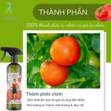 Cô Cà Chua Mới Toanh Cọ Toilet 500ml