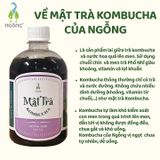 Mật Trà Kombucha Dưỡng Sinh