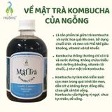 Mật Trà Kombucha Thảo Mộc