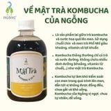 Mật Trà Kombucha Cốt Chuối