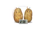 Đồng hồ khoai tây - Potato clock - Đồ chơi thông minh khoa học 