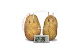  Đồng hồ khoai tây - Potato clock - Đồ chơi thông minh khoa học 