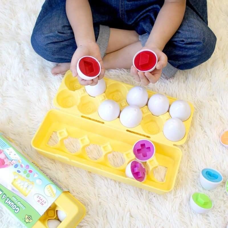  Vỉ 12 trứng lắp ghép Montessori 