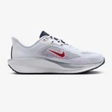  Giày Running Nike nam FD6033-107 