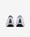  Giày Running Nike nam FD6033-107 
