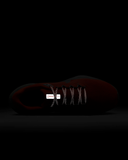  Giày running Nike Pegasus 41 PRM nam HQ2938-800 