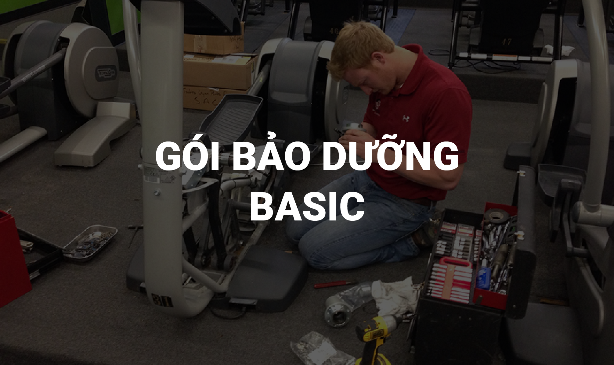 BẢO DƯỠNG CƠ BẢN BASIC 1 LẦN