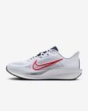  Giày Running Nike nam FD6033-107 