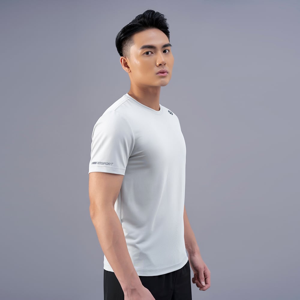 Áo Tshirt nam AM màu ghi TSM233-22
