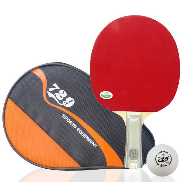 Vợt bóng bàn 729-1060