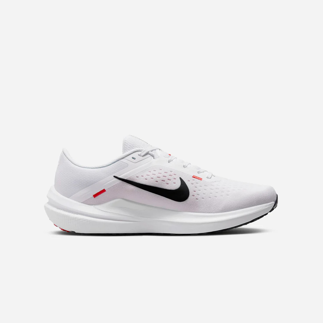 Giày Nike nam Winflo 10 DV4022-100