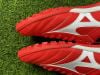 MORELIA TF