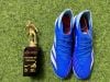 PREDATOR ACCURACY.3