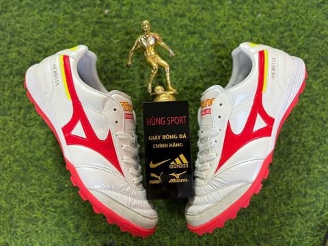 MORELIA SALA ELITE TF