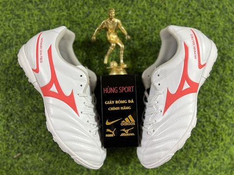 MONARCIDA NEO 2 SELECT AS