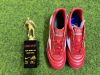 MORELIA SALA CLASSIC TF