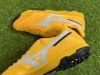 MORELIA SALA CLASSIC TF