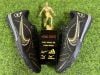 VAPOR 14 ACADEMY TF