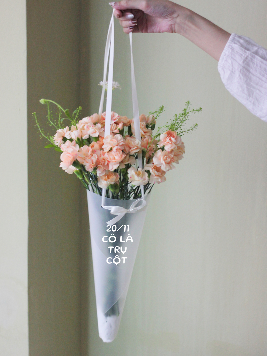  Orange Carnation 