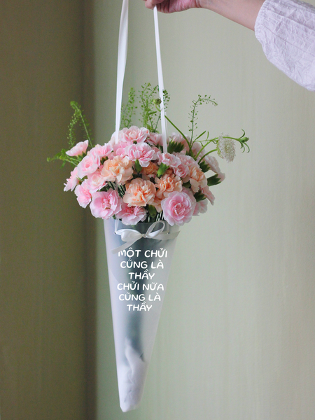  Carnation 