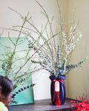  Tuyết Mai Lộc Tài 