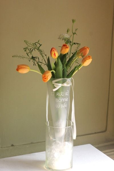  Pack Hoa Tin Nhắn - Tulip cam 
