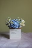  THTN - No.07 [10cm x 5cm x 12,5cm] 