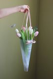  Pack Hoa Tin Nhắn - Tulip Mix Trắng Hồng 