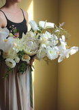  King Protea / White 