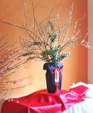  Tuyết Mai Lộc Tài 