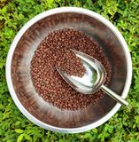 Cà phê hạt rang Robusta (LH:0343002668)