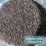 Cà phê hạt rang Robusta (LH:0343002668)