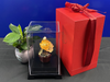 Chậu Sen Mạ Vàng 24k