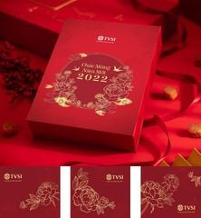 TVSI - Tết 2022