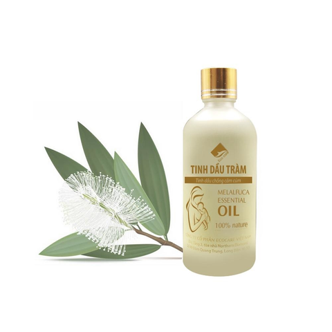 Tinh dầu tràm chống cảm Ecocare 100ml