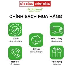 Bột Khử Mùi Cỏ Mềm Wings Up khử mùi hôi nách, hôi chân, giảm tiết mồ hôi hiệu quả 25g (Date 24/9/2025)