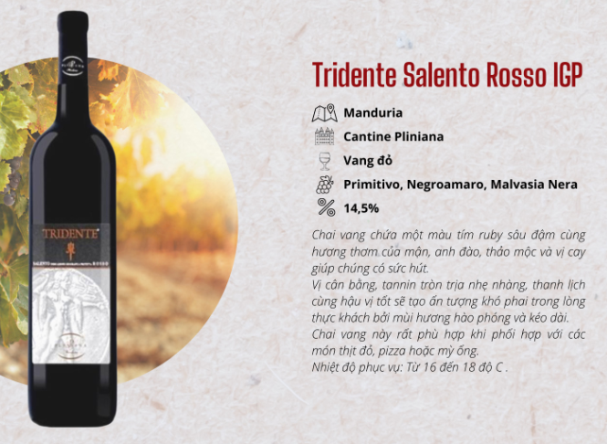 RƯỢU VANG Ý TRIDENTE SALENTO ROSSO