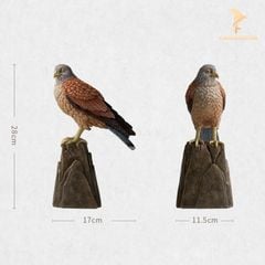 Tượng Đồng Chim Cắt Lưng Hung - BST 