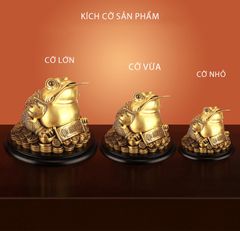 Tượng Thiềm Thừ Cóc Ba Chân Ngậm Tiền Bằng Đồng Phong Thuỷ