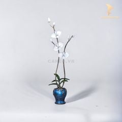 Trang Trí Để Bàn - Bình Hoa Lan Hồ Điệp Bằng Đồng