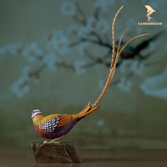 Chim Trĩ Đuôi Dài Bằng Đồng - Tượng Để Bàn Trang Trí
